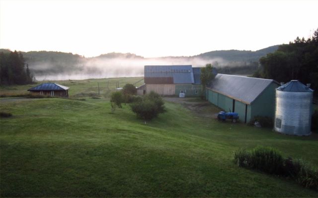 don's farm in mayo quebec